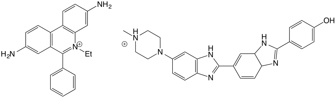 The DNA binders ethidium bromide (left) which intercalates between the base pairs of DNA, and Hoechst 33258 (right) which binds in the minor groove of DNA, by curving around the tertiary structure