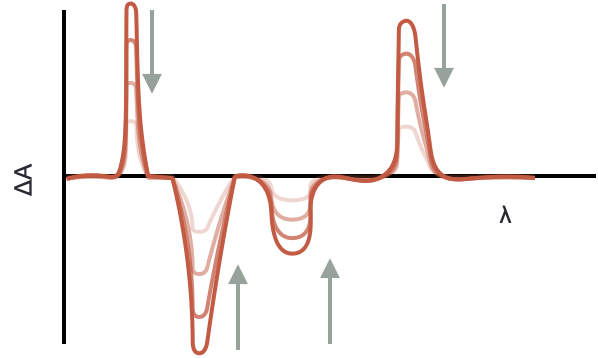 Positive peaks show formation of new bands, negative bands the loss of ground state, the profiles are followed over increasing time delays showing how energy moves around the system.