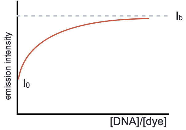 At a fixed wavelength if we plot the emission intensity against P/D ratio the emission intensity increases as the proportion of bound dye increases, this reaches a maximum when all dye is bound to the DNA.