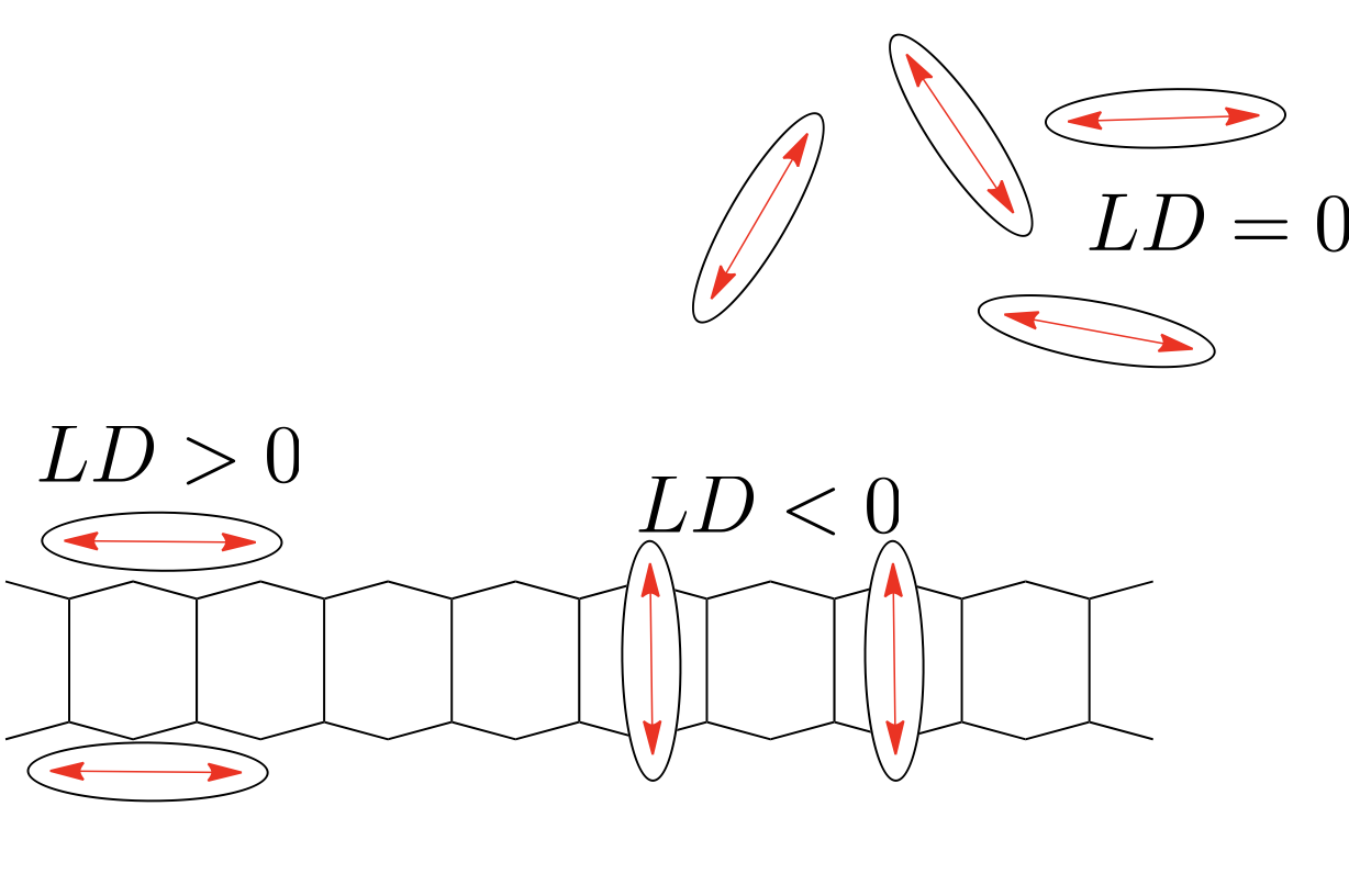 Small molecules under laminar flow are too small to align and so they are aranged isotropically and therefore no LD is observed, however on binding to macromolecules such as DNA the species display an induced LD