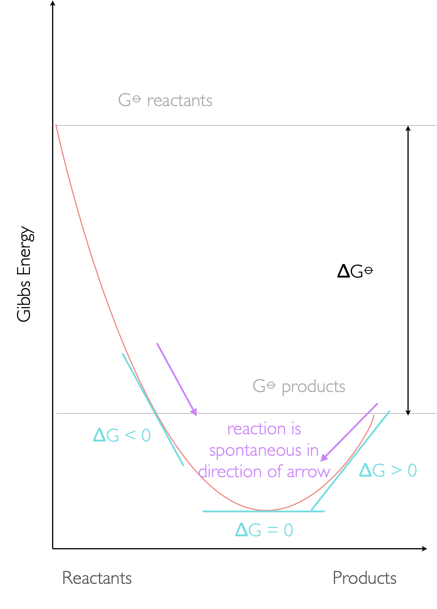 The reaction profile showing the Gibbs free energy (ΔG⦵) between pure reactants and products but also the driving force (ΔG). at any point of the reaction, the equilibrium is reached when ΔG=0 and both forward and backward reactions will occur until the compositon of the system matches the position of the thermodynamic equilibrium.