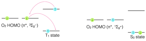 Dexter mechanism of energy transfer from a triplet excited state and ground state molecular oxygen.