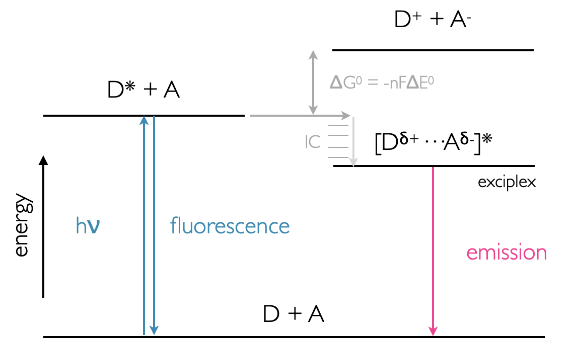 Energy profile of exciplex formation showing the lower energy state of the exciplex over the D* + A system. Emission from the exciplex is lower energy than fluorescence from the monomer donor chromophore.