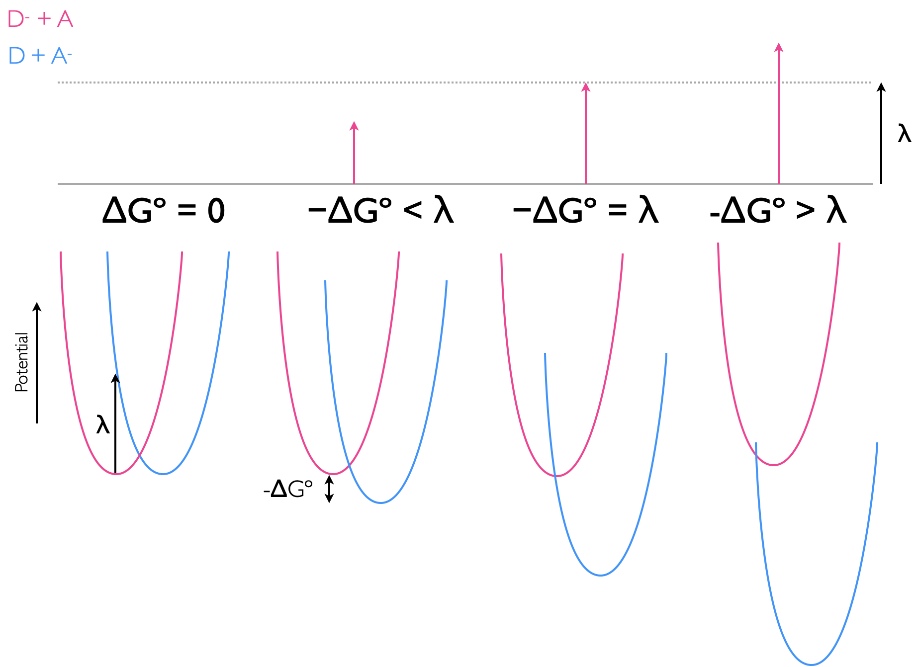 The electron transfer between donor and acceptor with differing driving forces ΔGº, the potential energy wells of reactants (pink) and products (blue), with the reorganisation being the vertical transition from the bottom of the reactant well, and the activation energy, ΔG‡, being that from the bottom of the reactant potential well to the point where the two potential wells cross.