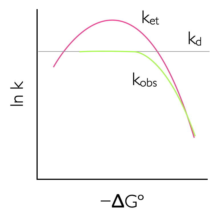 The rate of reaction increases with increasing driving force to a maximum where -ΔGº = λ, where the rate of reaction reaches a maximum. As the driving force of reaction increases teh rate of electron transfer slows down due to increasing solvent and molecular reorganization effects, this is called the Marcus inverted region. This effect is attenuated if the reaction is diffusion controlled as the rate of diffusion is often slower than the maximum possible rate of electron transfer.