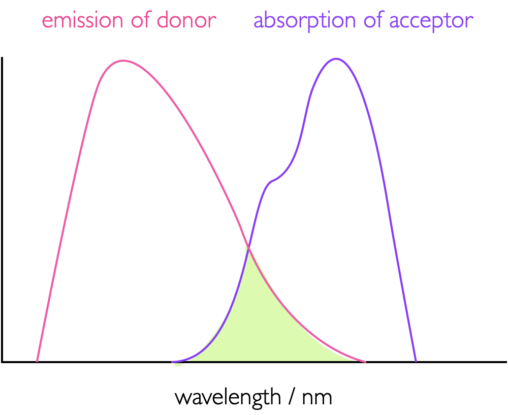 The overlap integral, J, (green shaded area) between the emission spectrum of a donor and absorption spectrum of an acceptor as used in FRET, the greater this overlap integral more more efficient the energy transfer.