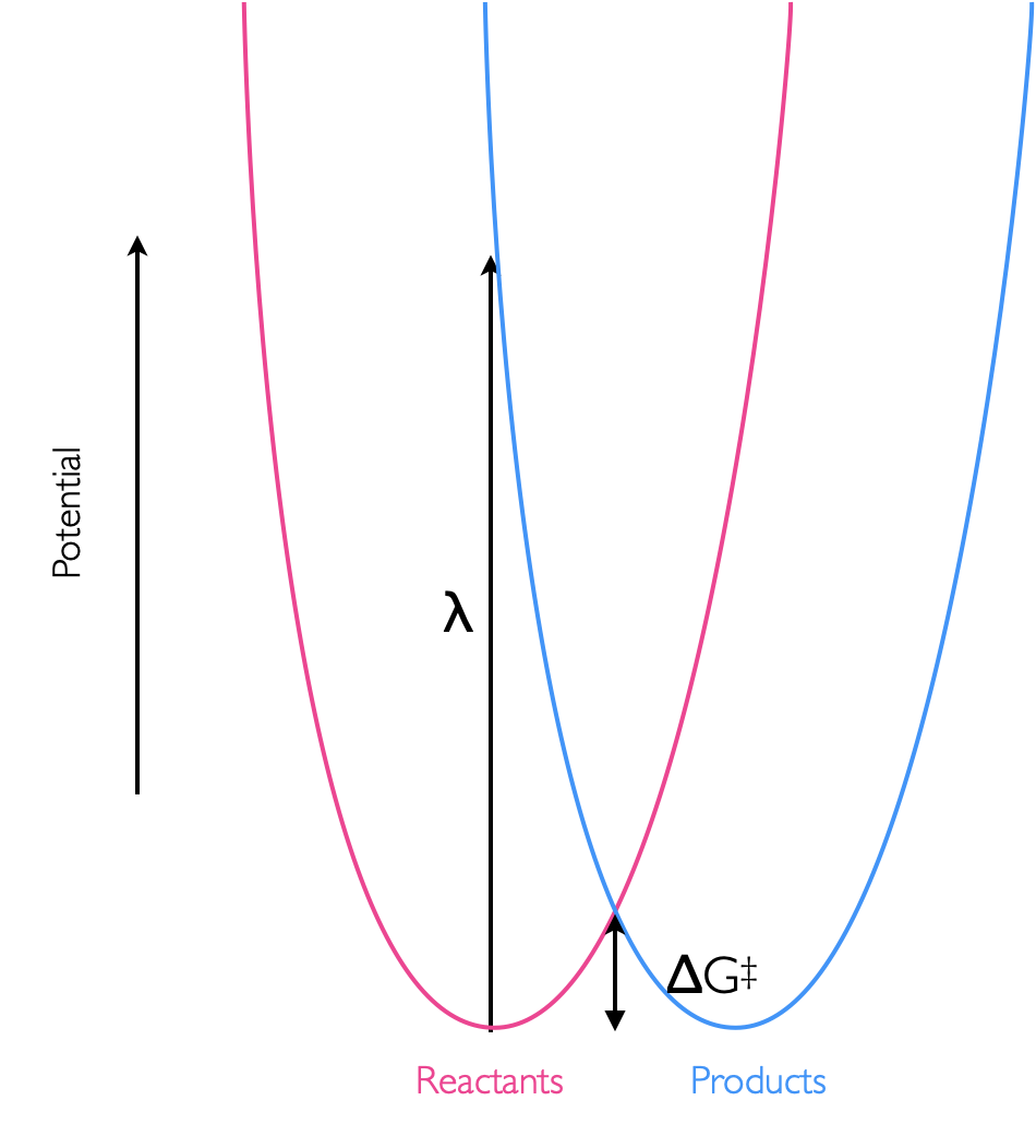 The reorganisation energy, λ, of an isoenergetic reaction, is the energy of the vertical transition between the potential wells of hte reactants and products. This reorganisation energy in this case is considerably higher than the activation energy of the reaction, ΔG‡